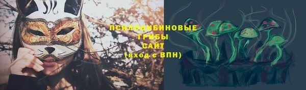спайс Пересвет