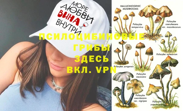 мдпв Пестово