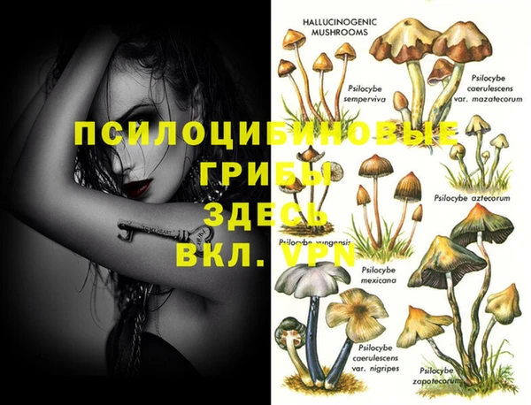 соль ск Переславль-Залесский