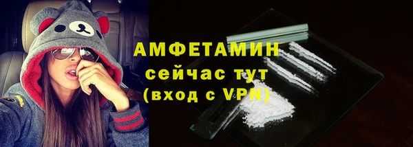 мдпв Пестово