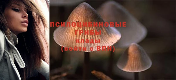 спайс Пересвет