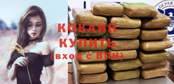 мдпв Пестово